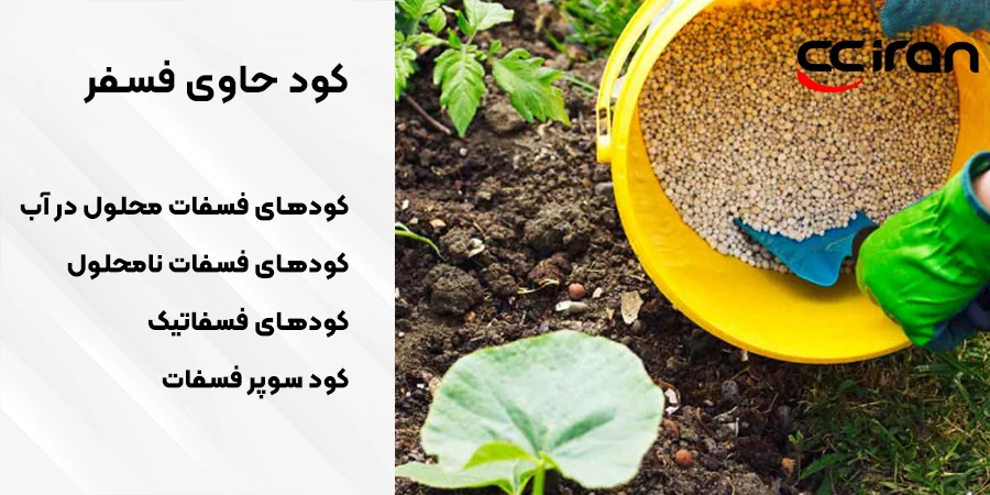 کود حاوی فسفر